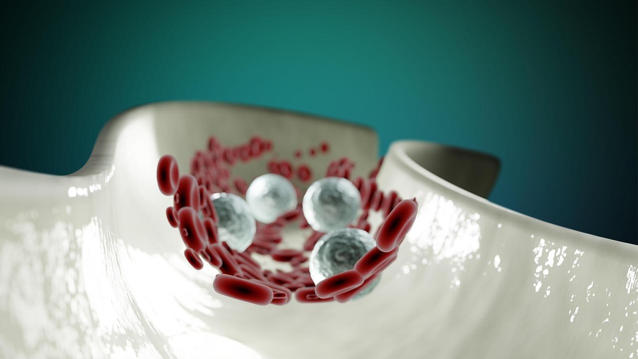 抽血報告「嗜中性白血球」異常？醫示警：慢性發炎警訊