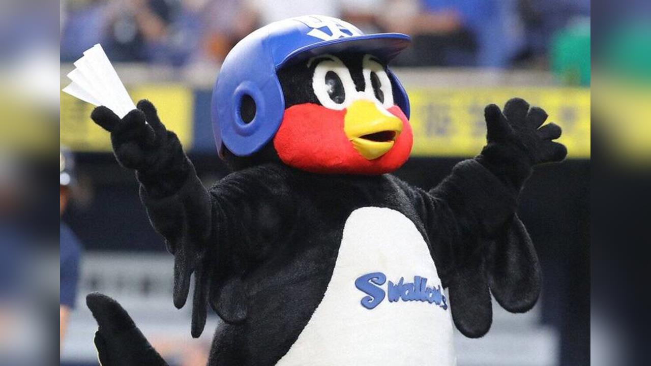 養樂多燕子今舉行「球迷感謝祭」活動　...