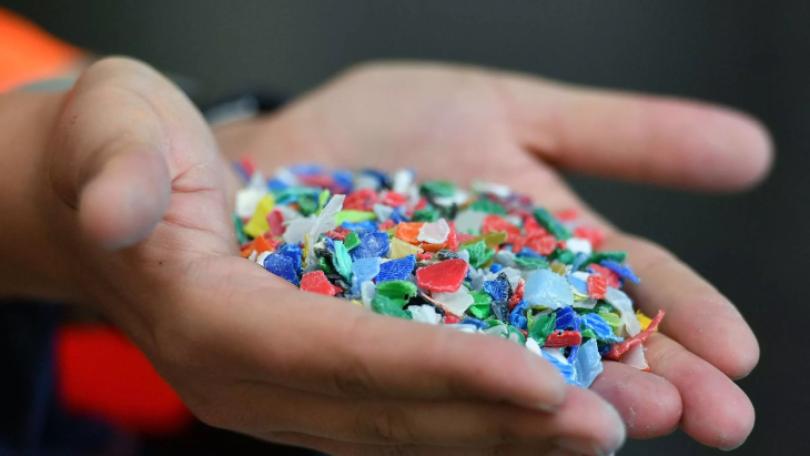 人體內含大量塑膠微粒？ 質疑派學者：脂肪可能導致偽陽性