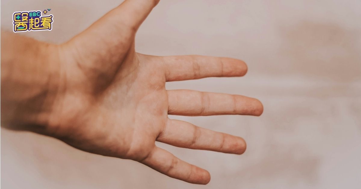 醫起看／鮪魚蛋餅也上榜！中醫點名汗皰疹隱形元兇 恐越吃越癢