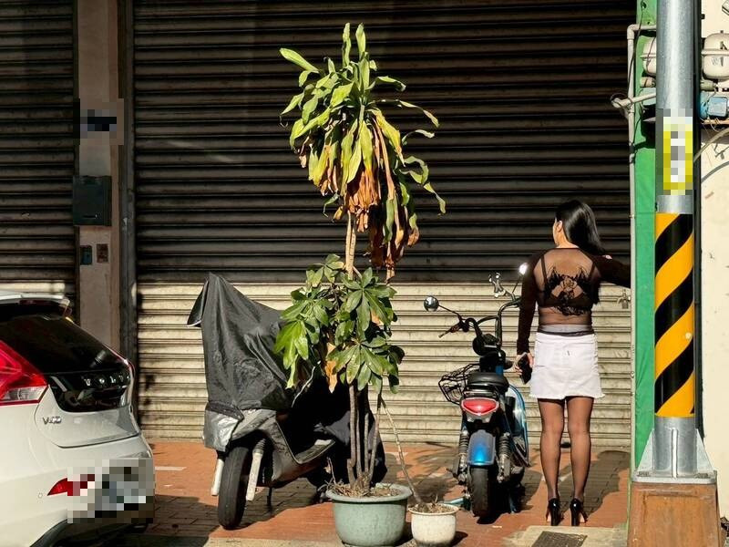 台中公園流鶯專題3-1》外籍軍團壓境！本土「雙飛套餐」拚逆轉