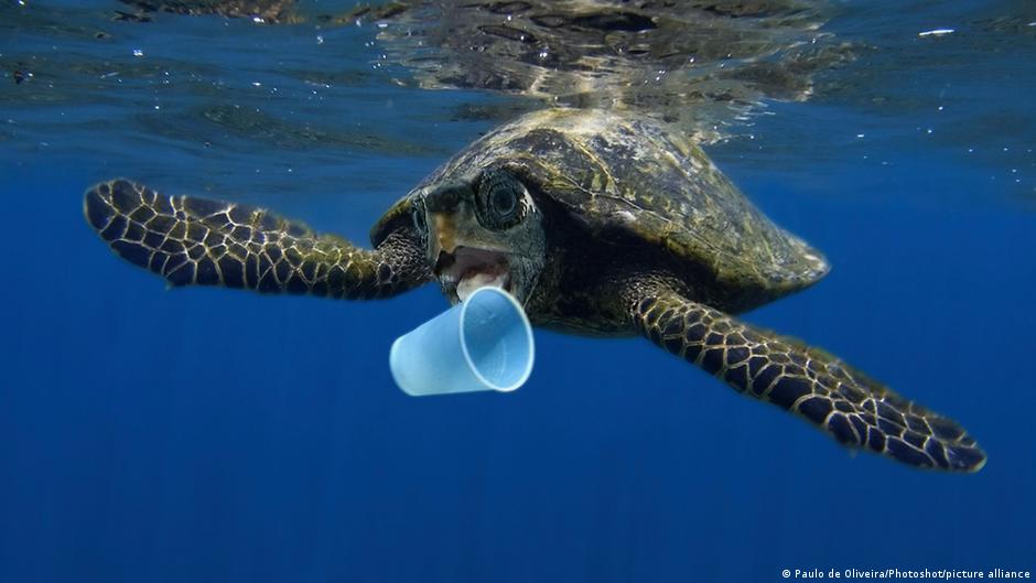 聯合國《公海條約》正式生效 中國申請承辦秘書處